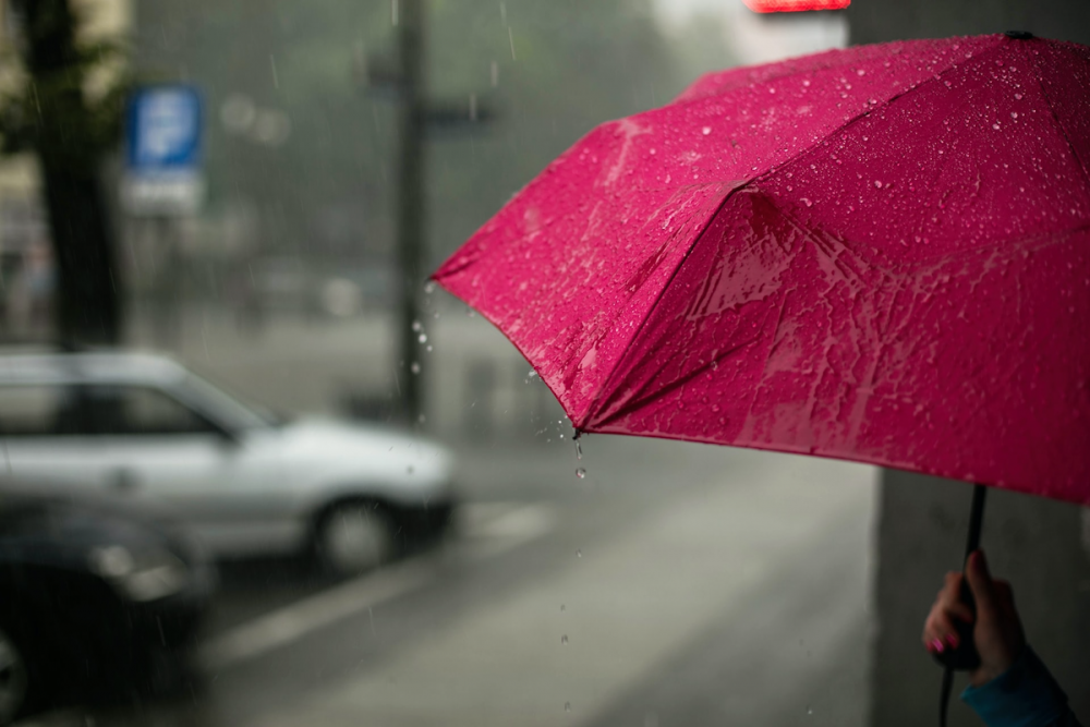 图片:一名妇女在城市门口避雨,手里拿着一把洋红色的伞。