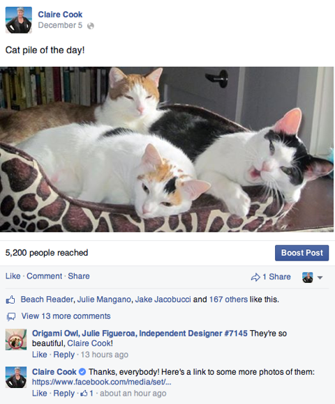 克莱尔·库克和猫在Facebook上