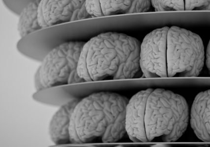 图片：人类大脑的雕塑，在循环平台上排列